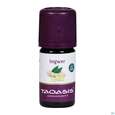 Aetherische Oele Taoasis Bio Ingwer 5ml, A-Nr.: 3494965 - 03
