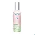 Caudalie Eau De Beaute 100ml, A-Nr.: 3378555 - 04