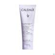 Sie sehen eine Packung Caudalie Vinotherapist Hand +nagelcreme 75ml, Produktbild: 02 Caudalie Vinotherapist Hand +nagelcreme 75ml, A-Nr.: 5608930 - 02