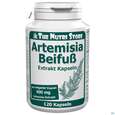 Sie sehen eine Packung Artemisia Beifuss Extrakt Kapseln 400mg 120st, Produktbild: 01 Artemisia Beifuss Extrakt Kapseln 400mg 120st, A-Nr.: 5413296 - 01