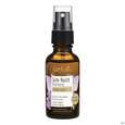 Farfalla Schlaf Schoen Lavendel Gute Nacht Kissenspray 30ml, A-Nr.: 4523077 - 01