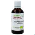 Gemmo Mazerat Bio Phytoaustria Schwarze Johannisbeere Ribis Nigrum 50ml, A-Nr.: 4597472 - 01