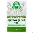 Sie sehen eine Packung Dr.Kottas Tee Spitzwegerich 20st, Produktbild: 03 Dr.Kottas Tee Spitzwegerich 20st, A-Nr.: 3886286 - 03