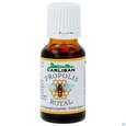 Propolis Tropfen -lehar 15ml, A-Nr.: 0663261 - 01