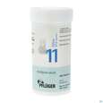 Schuess 11 Silic D12 Pflu Tbl 100g, A-Nr.: 3703340 - 02