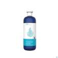Helfe Zinnkrautextrakt Pure 1l, A-Nr.: 0984404 - 01