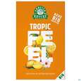 Dr.Kottas Tee Tropic Feel 20st, A-Nr.: 4757326 - 02