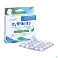 Xylimelts Hafttabl 40s Milde Minze Artikelnr 01ac0034 40st, A-Nr.: 4165413 - 07