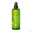 Sie sehen eine Packung Primavera Bio Pflanzenwasser Immortelle 100ml, Produktbild: 02 Primavera Bio Pflanzenwasser Immortelle 100ml, A-Nr.: 4515994 - 02