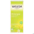 Sie sehen eine Packung Weleda Citrus 24h Deo Spray 100ml, Produktbild: 01 Weleda Citrus 24h Deo Spray 100ml, A-Nr.: 1132034 - 01