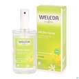 Sie sehen eine Packung Weleda Citrus 24h Deo Spray 100ml, Produktbild: 05 Weleda Citrus 24h Deo Spray 100ml, A-Nr.: 1132034 - 05