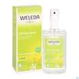 Sie sehen eine Packung Weleda Citrus 24h Deo Spray 100ml, Produktbild: 06 Weleda Citrus 24h Deo Spray 100ml, A-Nr.: 1132034 - 06