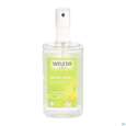Sie sehen eine Packung Weleda Citrus 24h Deo Spray 100ml, Produktbild: 07 Weleda Citrus 24h Deo Spray 100ml, A-Nr.: 1132034 - 07