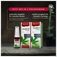 Cannabis Alpinamed 20 Dosierspray 10ml, A-Nr.: 5730186 - 08